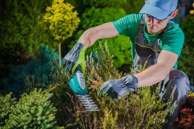 landscaping services Malverne Park Oaks